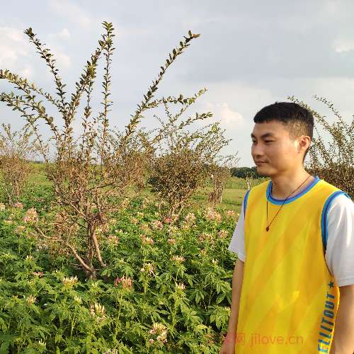 37岁岁广东单身帅哥 - 张家界吉缘网